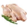 poulet de chaire