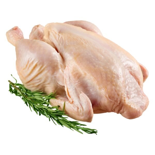 poulet de chaire
